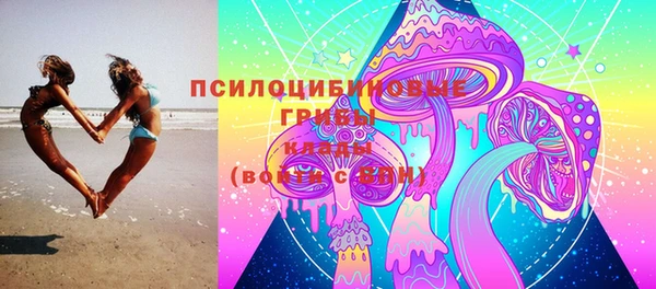 ПСИЛОЦИБИНОВЫЕ ГРИБЫ Абаза