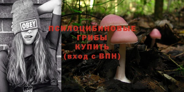 мескалин Нягань