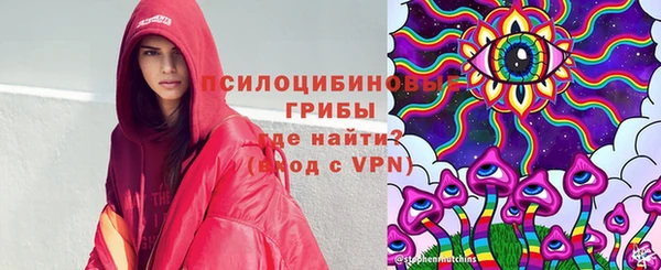первитин Няндома