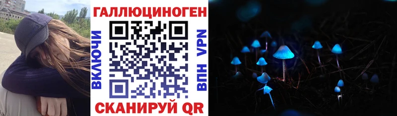 Псилоцибиновые грибы Psilocybine cubensis Поворино